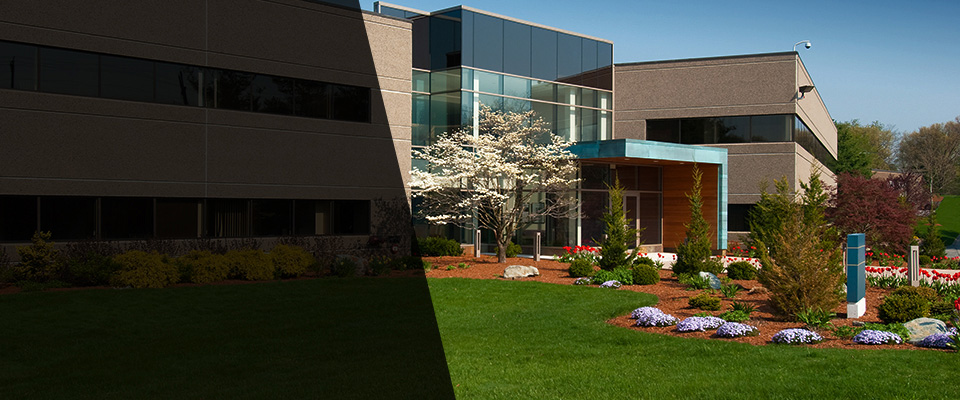 Western Springs Landscapers